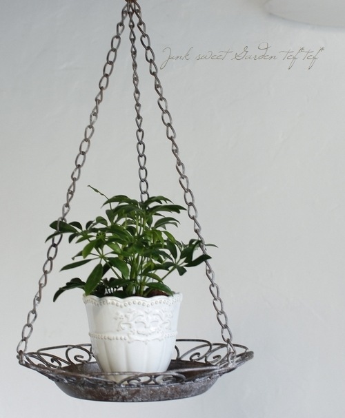 �ڻ��ߡ� ����ӡ����å� ��������졼���ϥ󥮥󥰥ȥ쥤  ��L�������ۡ�