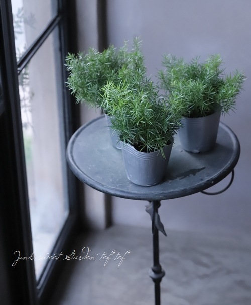 �Ѿ��ѥ����ѥ饬�����إ��ץ�󥲥꡼��