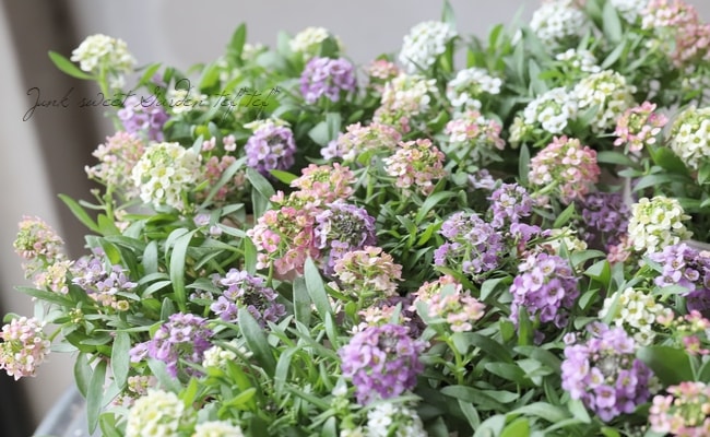 ����å���β���