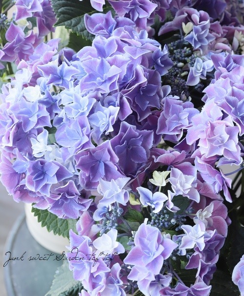 4_000000015775.jpg?1678209903