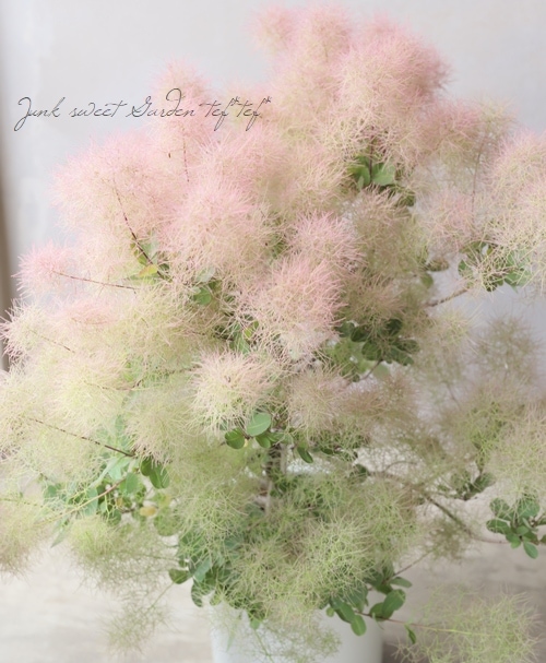 spica様　ｆｕｗａｒｉ　スモークツリーのガーランド　他１点 spica様 fuwari スモークツリーのガーランド 他1点