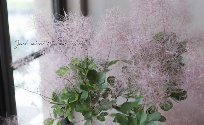 spica様　ｆｕｗａｒｉ　スモークツリーのガーランド　他１点 spica様 fuwari スモークツリーのガーランド 他1点 大好きな