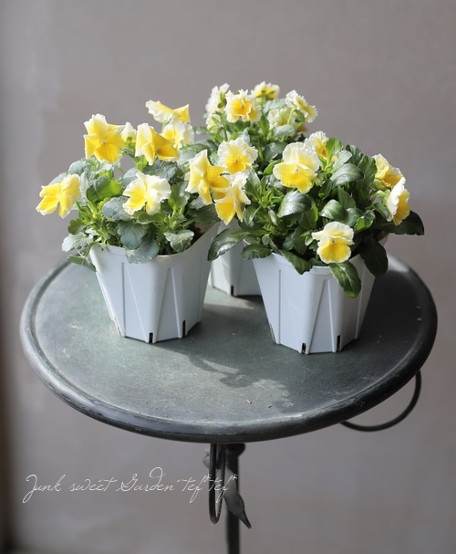 ����ƣ����������ɥӥ��顡�إ��å�����ȡ�