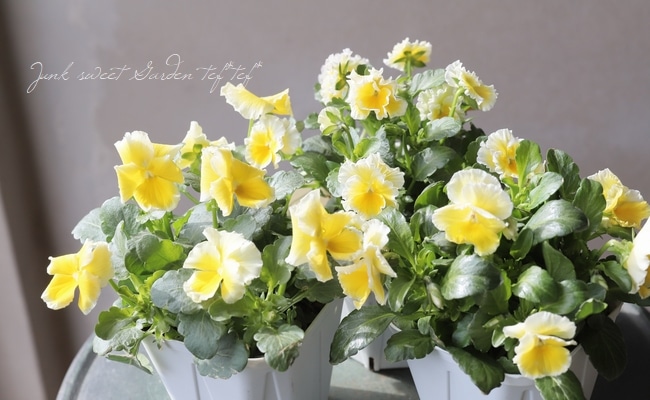 ����ƣ����������ɥӥ��顡�إ��å�����ȡ�