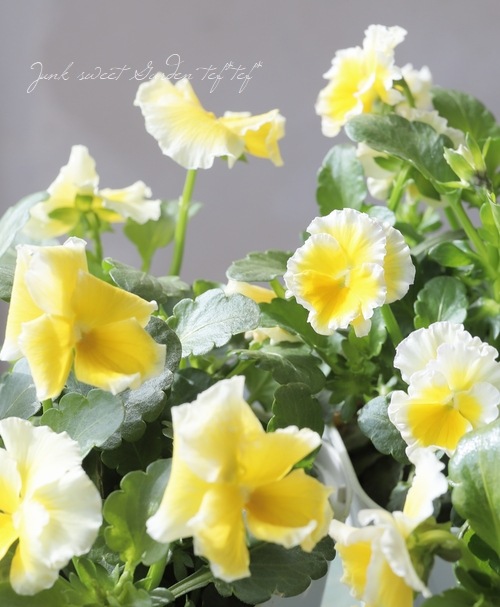 ����ƣ����������ɥӥ��顡�إ��å�����ȡ�