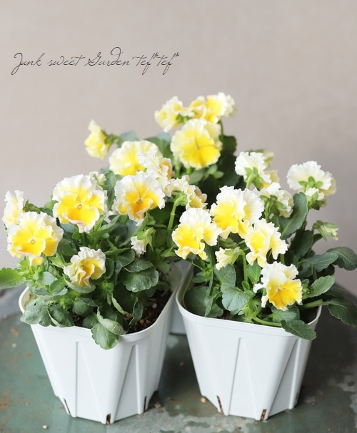 ����ƣ����������ɥӥ��顡�إ��å�����ȡ�