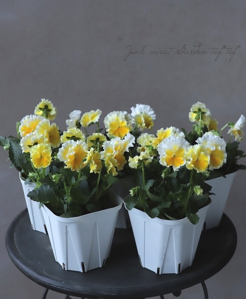 ����ƣ����������ɥӥ��顡�إ��å�����ȡ�