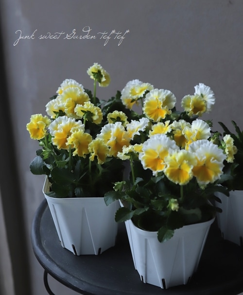 ����ƣ����������ɥӥ��顡�إ��å�����ȡ�