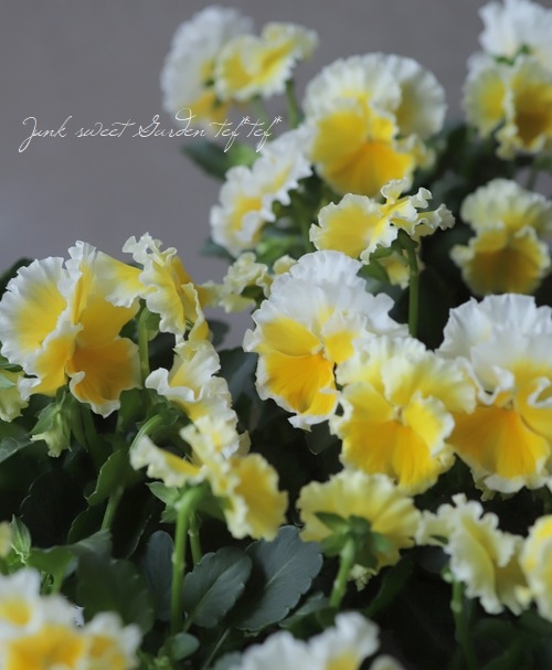 ����ƣ����������ɥӥ��顡�إ��å�����ȡ�