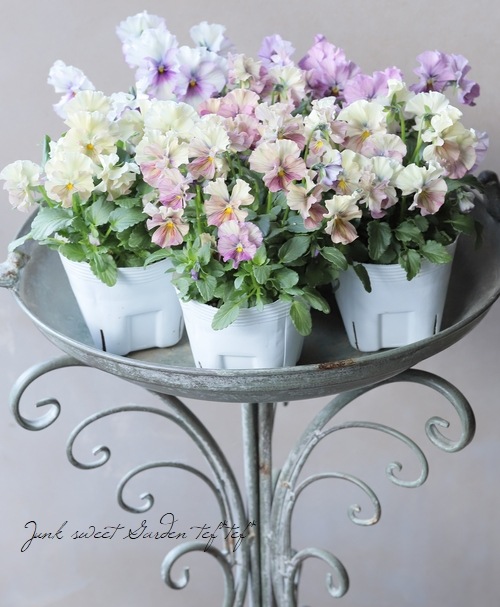 �������ݤ��󥪥ꥸ�ʥ� �ӥ��� �إ���ƥ��롼������