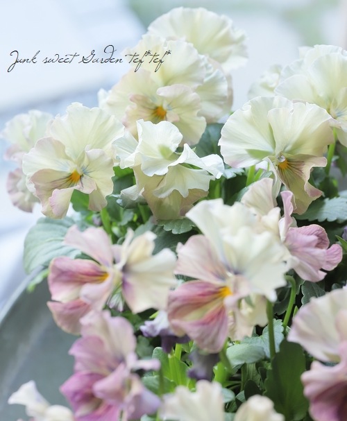 �������ݤ��󥪥ꥸ�ʥ� �ӥ��� �إ���ƥ��롼������