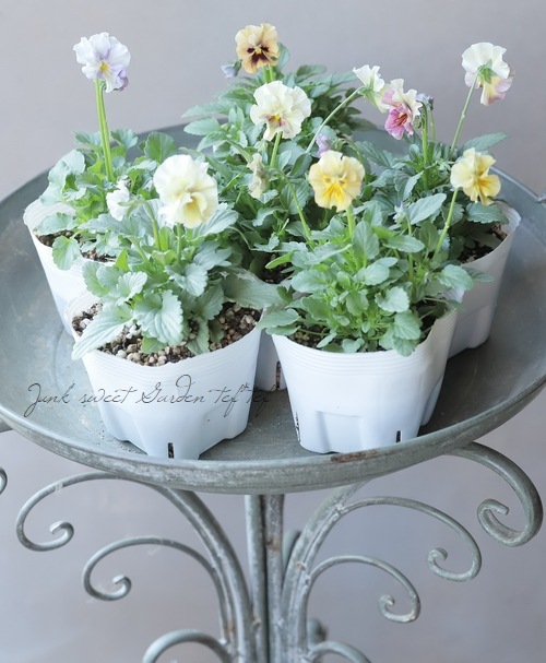 �������ݤ��󥪥ꥸ�ʥ� �ӥ��� �إ���ƥ��롼������