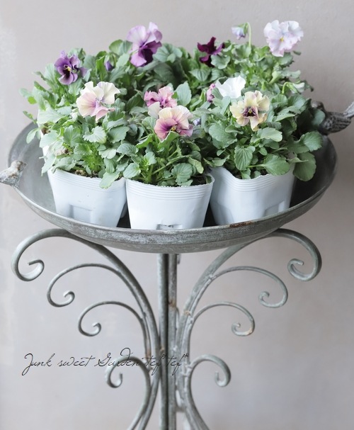 �������ݤ��󥪥ꥸ�ʥ� �ӥ��� �إ���ƥ��롼������