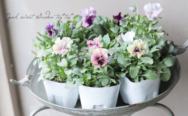 �������ݤ��󥪥ꥸ�ʥ� �ӥ��� �إ���ƥ��롼������