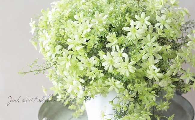 եƥ꡼ϥޥإڥȥꥨ