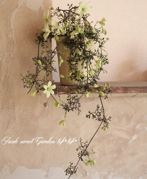 եƥ꡼ϥޥإڥȥꥨ