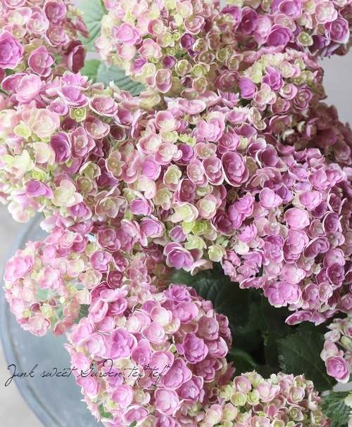 紫陽花 さくらシリーズ 『ゆらり』 ピンク | すべての商品 | | Junk