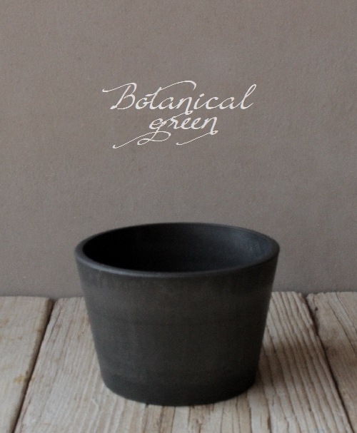 �ڻ��ߡ� �������ץ�ȭ�� ���ƥ��롼�� BK��15cm