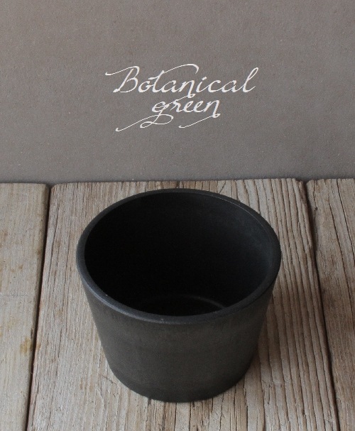 �ڻ��ߡ� �������ץ�ȭ�� ���ƥ��롼�� BK��15cm