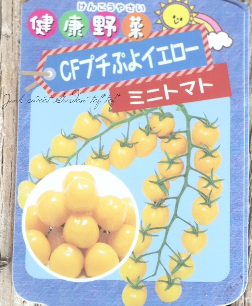 �ڲ����ڱ�� �ߥ˥ȥޥȡ��ؤĤ�פ��٥ץ��פ衡�������/��������