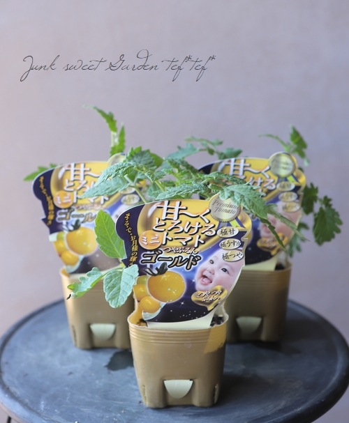 �ڲ����ڱ�� �ߥ˥ȥޥȡ��ؤĤ�פ��٥ץ��פ衡�������/��������