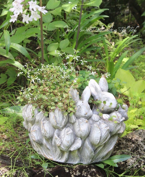 �ڻ��ߡۥ�ӥåȥե��ץ�󥿡�L