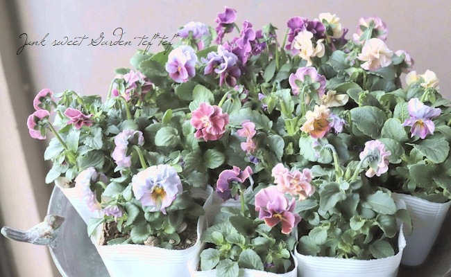 �������ݤ��󥪥ꥸ�ʥ� �ӥ��� �إ��ꥸ�ʥ�MIX��