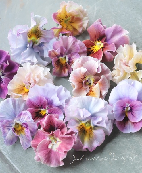 �������ݤ��󥪥ꥸ�ʥ� �ӥ��� �إ��ꥸ�ʥ�MIX��