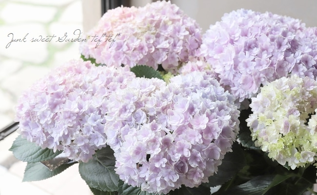 紫陽花 『星雲-セイウン-』 マーブル | すべての商品 | | Junk sweet