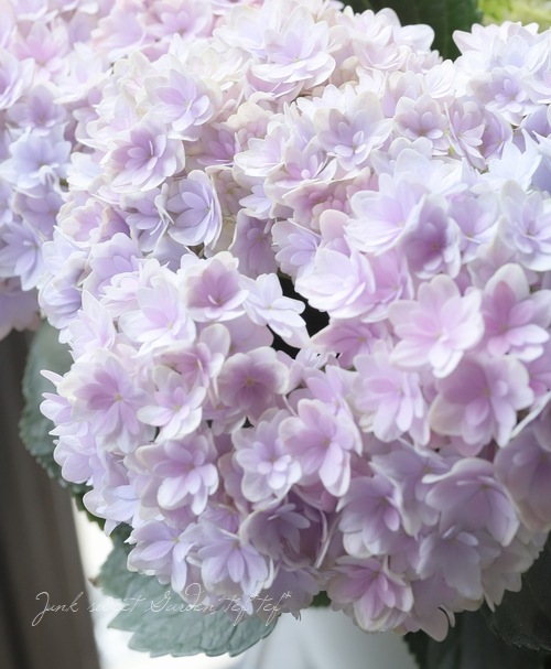 紫陽花 『星雲-セイウン-』 マーブル | すべての商品 | | Junk sweet