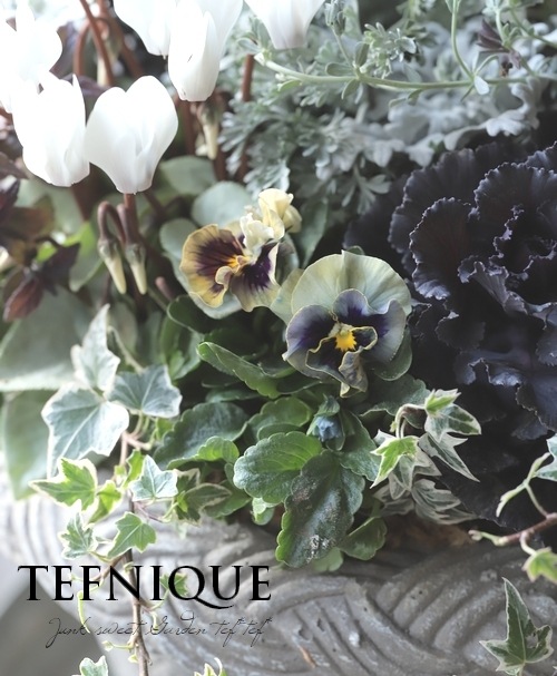 寄せ植え】-TEFNIQUE-寄せ植え 2024 * no.16 * 『香りまで素敵な