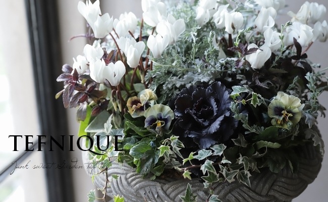 �ڴ󤻿�����-TEFNIQUE-�󤻿��� 2024 * no.16 *���ع��ޤ���Ũ�ʥۥ磻��Xmas�δ󤻿�������