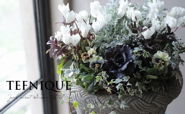 �ڴ󤻿�����-TEFNIQUE-�󤻿��� 2024 * no.16 *���ع��ޤ���Ũ�ʥۥ磻��Xmas�δ󤻿�������