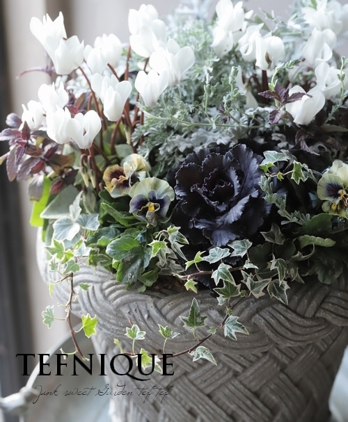 寄せ植え】-TEFNIQUE-寄せ植え 2024 * no.16 * 『香りまで素敵な