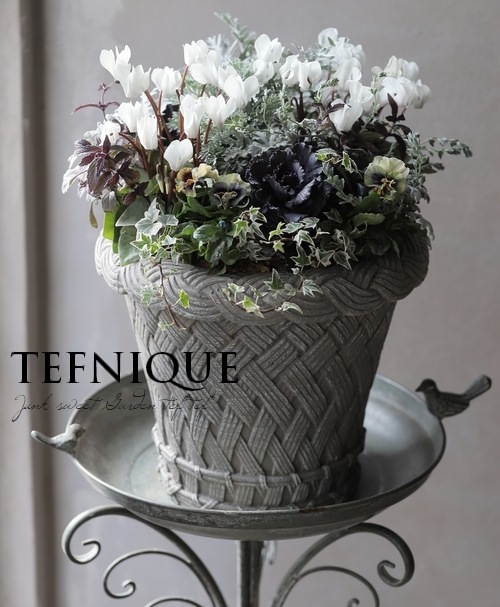 �ڴ󤻿�����-TEFNIQUE-�󤻿��� 2024 * no.16 *���ع��ޤ���Ũ�ʥۥ磻��Xmas�δ󤻿�������