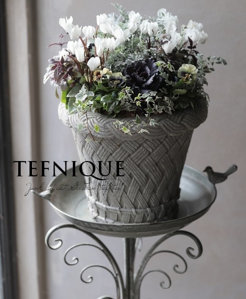 �ڴ󤻿�����-TEFNIQUE-�󤻿��� 2024 * no.16 *���ع��ޤ���Ũ�ʥۥ磻��Xmas�δ󤻿�������