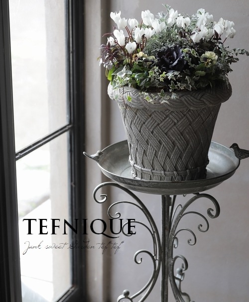 �ڴ󤻿�����-TEFNIQUE-�󤻿��� 2024 * no.16 *���ع��ޤ���Ũ�ʥۥ磻��Xmas�δ󤻿�������