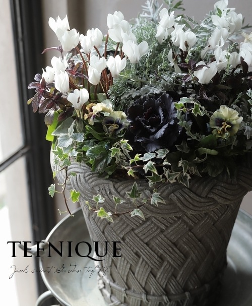�ڴ󤻿�����-TEFNIQUE-�󤻿��� 2024 * no.16 *���ع��ޤ���Ũ�ʥۥ磻��Xmas�δ󤻿�������