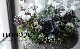 �ڴ󤻿�����-TEFNIQUE-�󤻿��� 2024 * no.16 *���ع��ޤ���Ũ�ʥۥ磻��Xmas�δ󤻿�������
