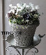 �ڴ󤻿�����-TEFNIQUE-�󤻿��� 2024 * no.16 *���ع��ޤ���Ũ�ʥۥ磻��Xmas�δ󤻿�������