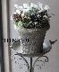�ڴ󤻿�����-TEFNIQUE-�󤻿��� 2024 * no.16 *���ع��ޤ���Ũ�ʥۥ磻��Xmas�δ󤻿�������