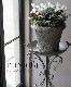 �ڴ󤻿�����-TEFNIQUE-�󤻿��� 2024 * no.16 *���ع��ޤ���Ũ�ʥۥ磻��Xmas�δ󤻿�������