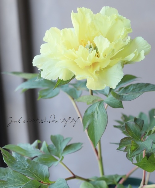 3_000000022177.jpg?1747377196