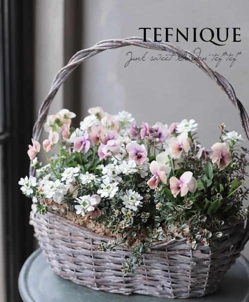 -TEFNIQUE-�󤻿��� 2020 * no.6 *���إ��⡼�����ԥ󥯥Х����åȢ���