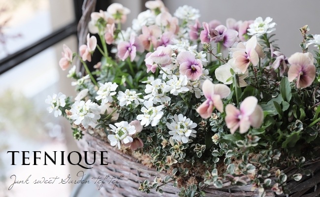 -TEFNIQUE-�󤻿��� 2020 * no.6 *���إ��⡼�����ԥ󥯥Х����åȢ���