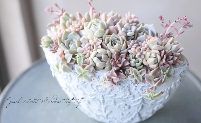 ��¿����ʪ�ۡ���ɱ���� -�ҥ᥷�奦�쥤-�١�����ץȥڥ����°