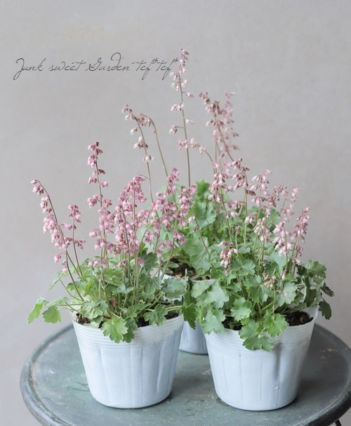 �ҥ塼����  �إץ륱��� �˾�������ѥ��ȡ�