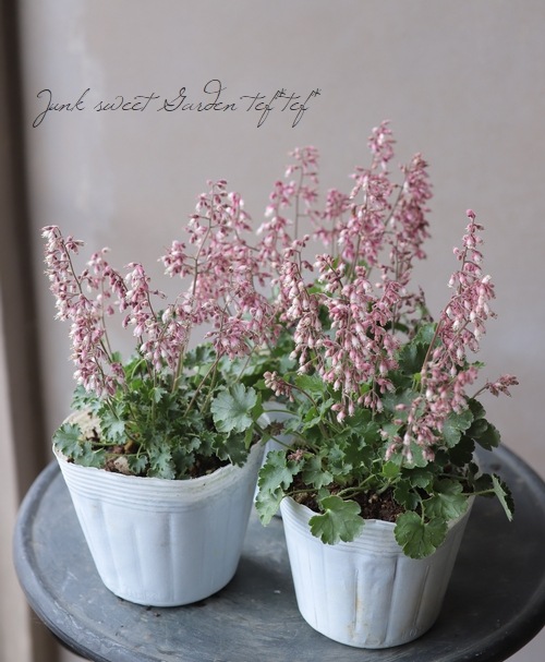 �ҥ塼����  �إץ륱��� �˾�������ѥ��ȡ�