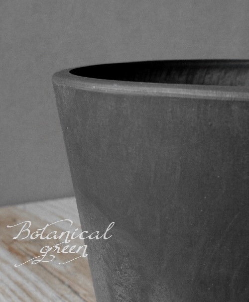 �ڻ��ߡ� �������ץ�ȭ�� ���ƥ��ݥå� SM��BK��17cm