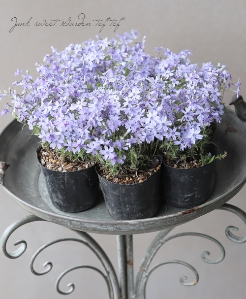 レア♡高品質 ブルーガーデンクォーツスフィア♡No.2101 レア♡高品質 ブルーガーデンクォーツスフィア♡No.2101 レア♡高品質